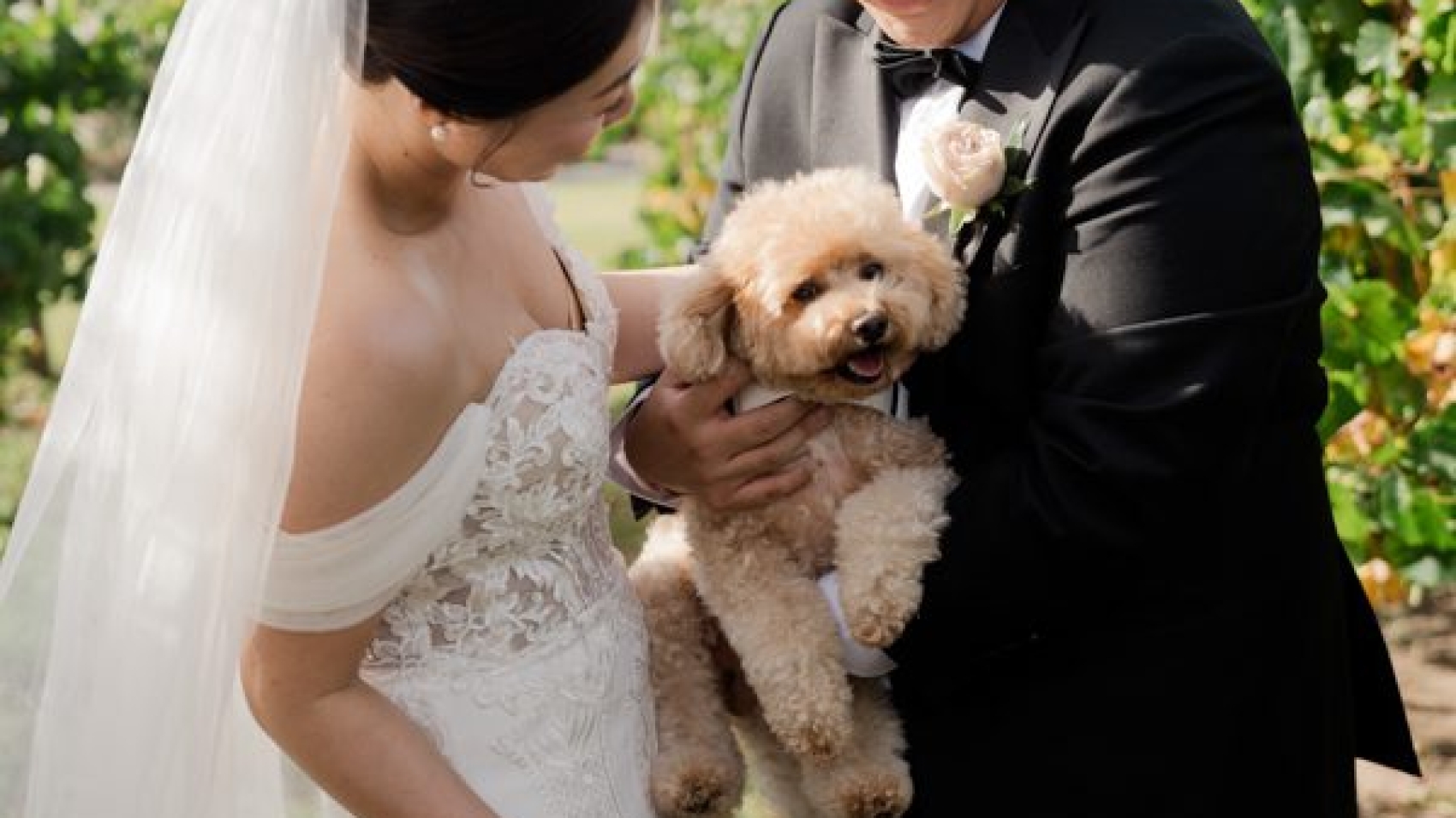 Evermore_weddings_Jack_Rabbit_Winery-34