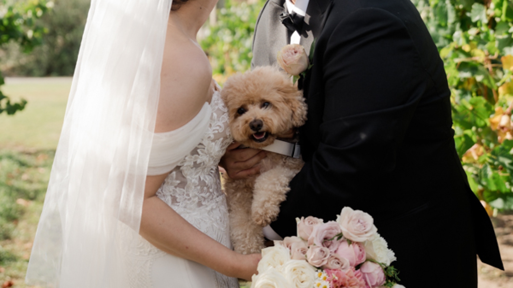 Evermore_weddings_Jack_Rabbit_Winery-35
