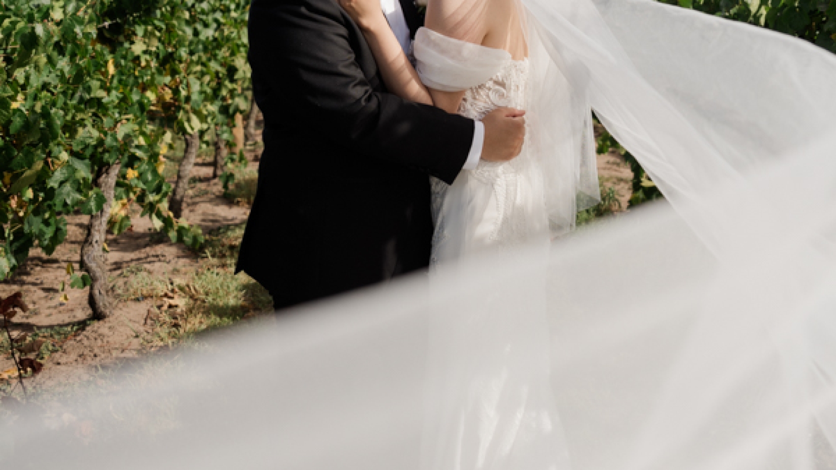 Evermore_weddings_Jack_Rabbit_Winery-43